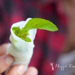 Kulinarische Reisepost aus Vietnam Teil 3 – Hue